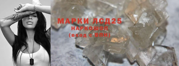 прущие грибы Белоозёрский
