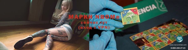 PSILOCYBIN Богородицк