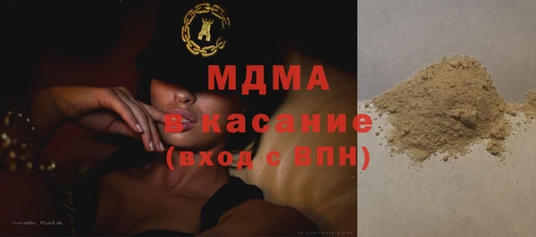 прущие грибы Богданович