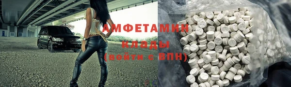 прущие грибы Богданович