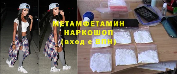 прущие грибы Богданович
