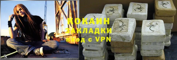 прущие грибы Белоозёрский