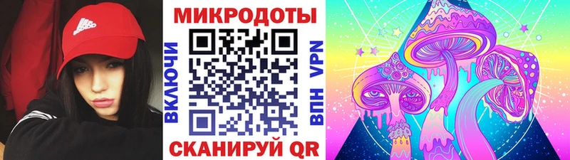 наркота Домодедово omg Псилоцибиновые грибы Cubensis